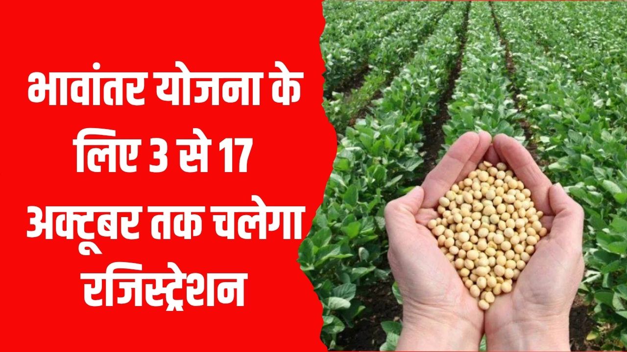 Bhavantar Yojana: 3 से 17 अक्टूबर तक चलेगा रजिस्ट्रेशन, जल्दी करें वरना होगा नुकसान