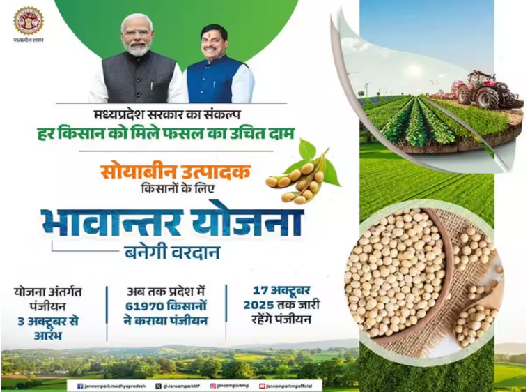 Bhavantar Yojana: 3 से 17 अक्टूबर तक चलेगा रजिस्ट्रेशन, जल्दी करें वरना होगा नुकसान