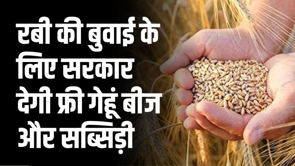 किसानों के लिए खुशखबरी, सरकार देगी फ्री गेहूं बीज और सब्सिडी का फायदा