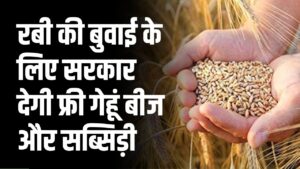 किसानों के लिए खुशखबरी, सरकार देगी फ्री गेहूं बीज और सब्सिडी का फायदा