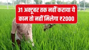 PM Kisan Yojana: किसानों के लिए अंतिम मौका, 31 अक्टूबर तक नहीं किया ये काम तो नहीं मिलेगा किसान योजना का पैसा