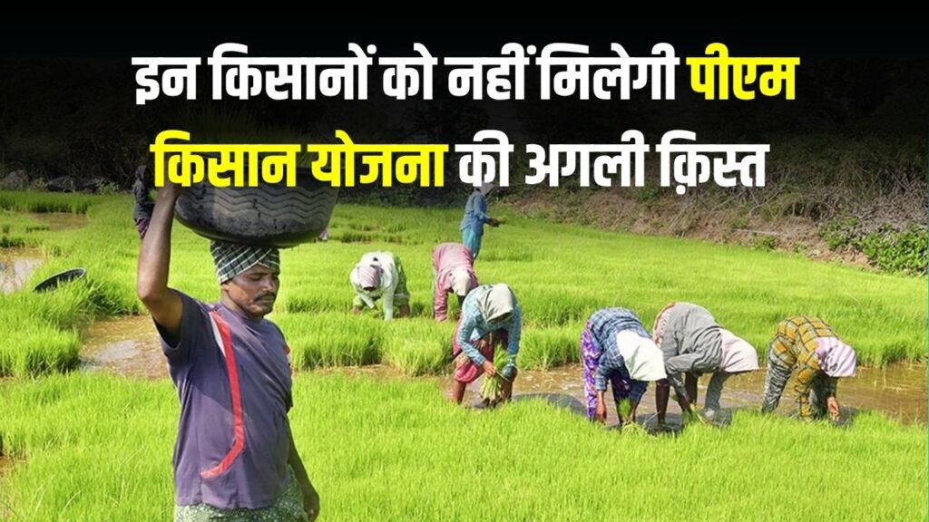 PM Kisan Yojana Next Installment: इन लोगों को लगा बड़ा झटका, सरकार ने नहीं दी किसान योजना की अगली किस्त