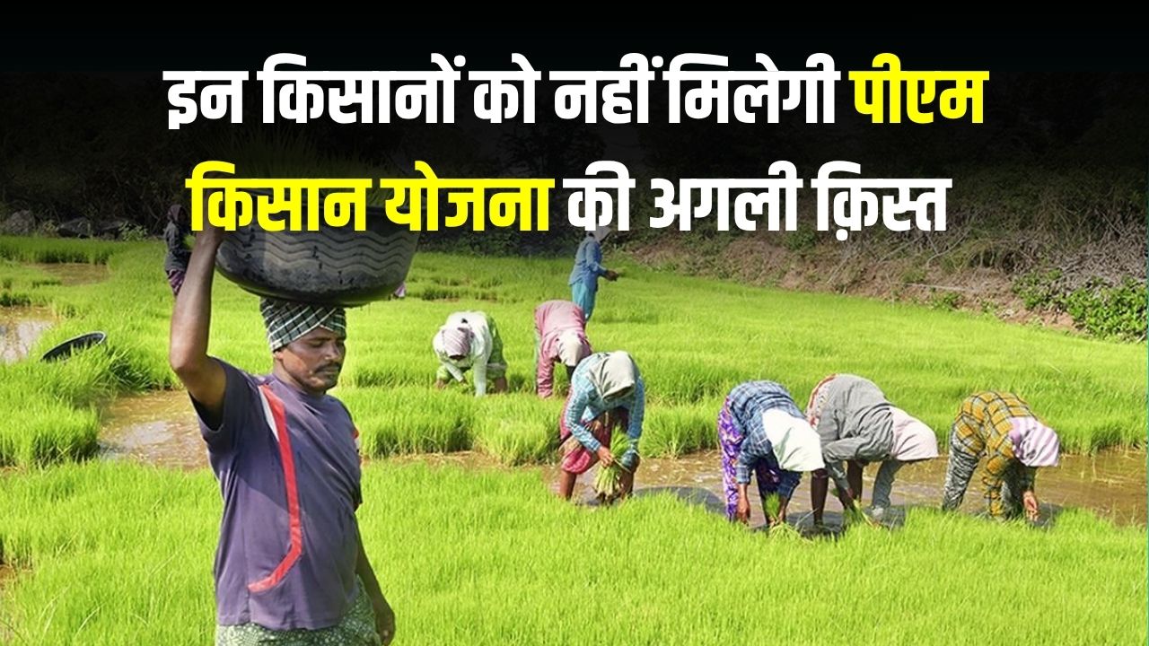 PM Kisan Yojana Next Installment: इन लोगों को लगा बड़ा झटका, सरकार ने नहीं दी किसान योजना की अगली किस्त