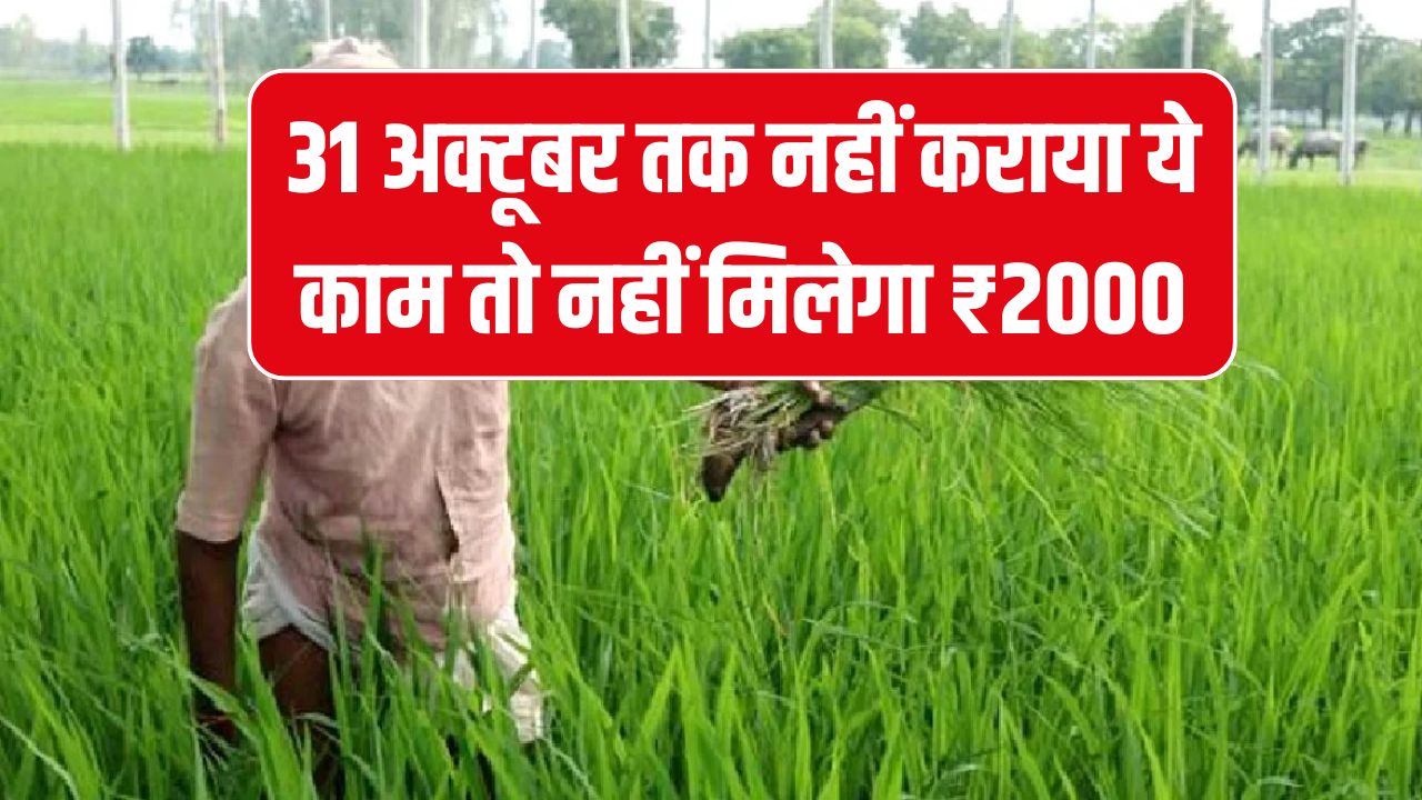 PM Kisan Yojana: किसानों के लिए अंतिम मौका, 31 अक्टूबर तक नहीं किया ये काम तो नहीं मिलेगा किसान योजना का पैसा