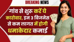 Village Small Business Ideas: गांव से शुरू करें ये कारोबार, इन 3 बिजनेस से कम लागत में होगी धमाकेदार कमाई