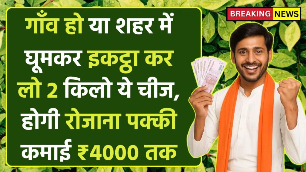 Business Idea: गाँव या शहर में घूमकर इकट्ठा कर लो 2 किलो ये चीज, रोजाना की पक्की कमाई ₹4000 तक
