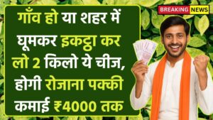 Business Idea: गाँव या शहर में घूमकर इकट्ठा कर लो 2 किलो ये चीज, रोजाना की पक्की कमाई ₹4000 तक