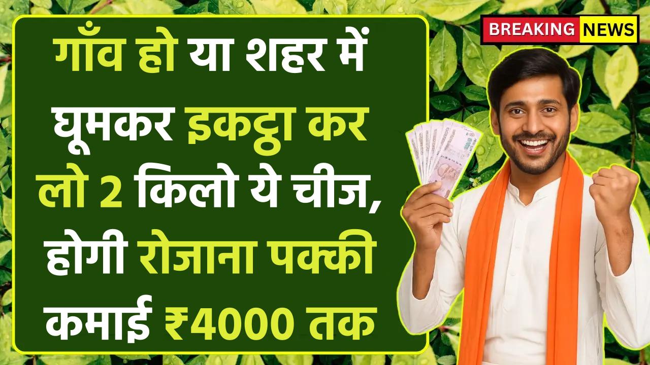 Business Idea: गाँव या शहर में घूमकर इकट्ठा कर लो 2 किलो ये चीज, रोजाना की पक्की कमाई ₹4000 तक