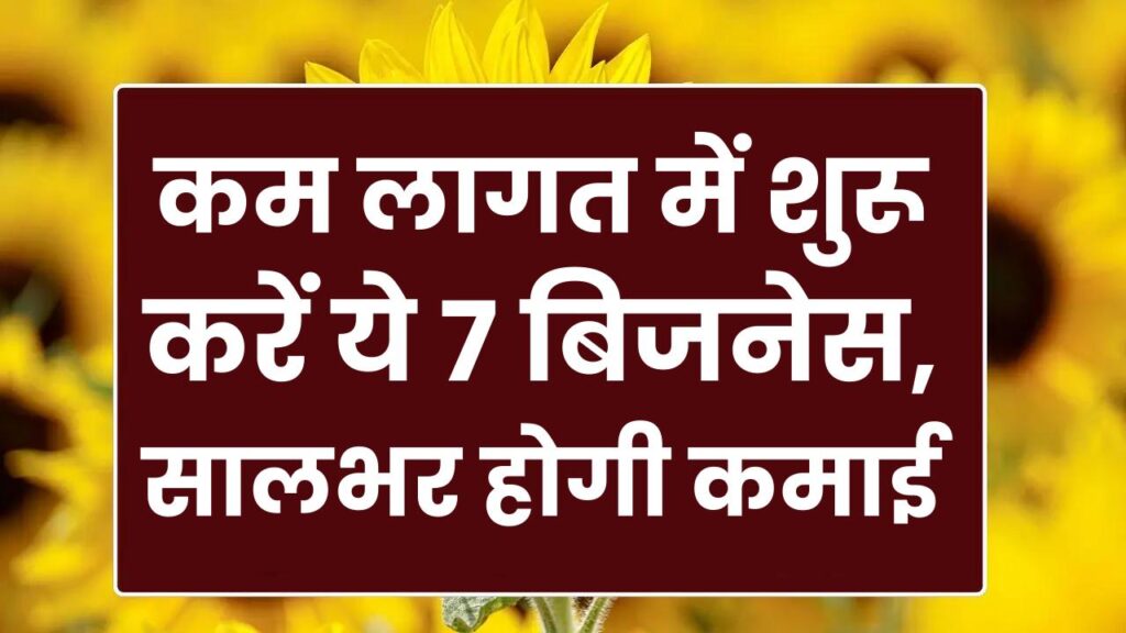 Low Budget Business Ideas: कम लागत में शुरू करें ये 7 बिजनेस, सालभर होगी तगड़ी कमाई