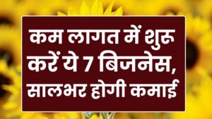 Low Budget Business Ideas: कम लागत में शुरू करें ये 7 बिजनेस, सालभर होगी तगड़ी कमाई