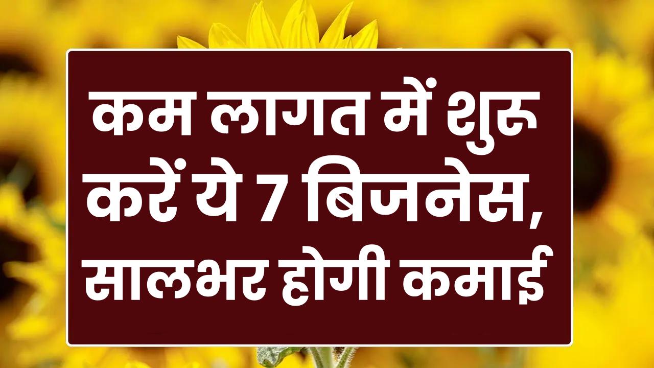 Low Budget Business Ideas: कम लागत में शुरू करें ये 7 बिजनेस, सालभर होगी तगड़ी कमाई