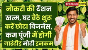 Home Based Business 2025: नौकरी की टेंशन खत्म, घर बैठे शुरू करें छोटा बिजनेस, कम पूंजी में होगी गारंटीड मोटी इनकम