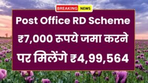 Post Office RD Scheme: ₹7,000 रूपये जमा करने पर मिलेंगे ₹4,99,564 रूपये