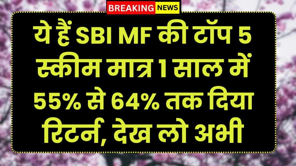 ये हैं SBI MF की टॉप 5 स्कीम मात्र 1 साल में 55% से 64% तक दिया रिटर्न, देख लो अभी