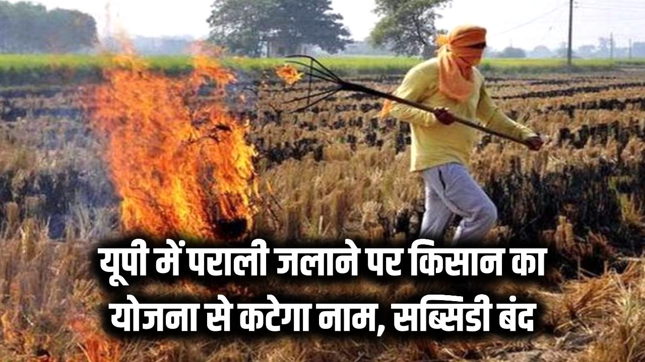 यूपी में पराली जलाने पर किसान योजना से कट जाएगा नाम, सब्सिडी वाला खाद-बीज से भी हो जाएगा बंद