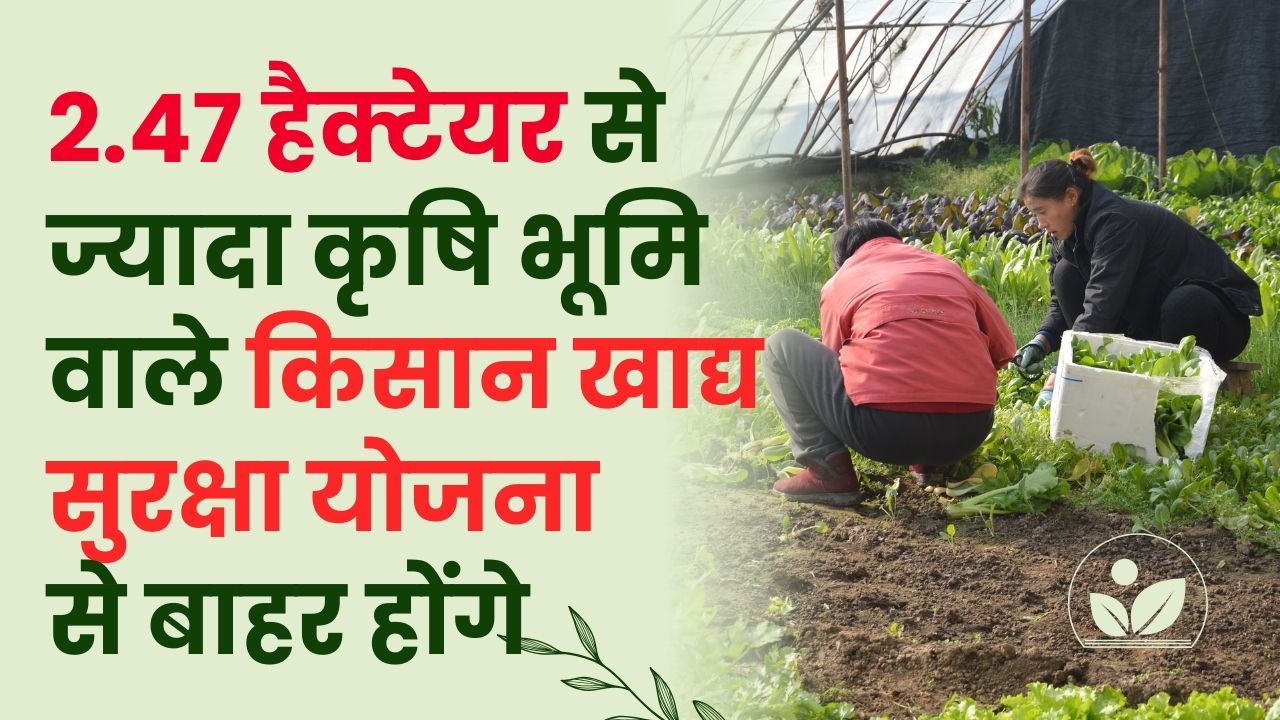 Agriculture News: 2.47 हेक्टेयर से ज्यादा जमीन वाले किसान खाद्य सुरक्षा योजना से बाहर—जांच शुरू