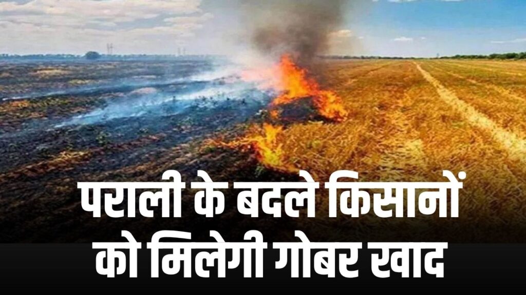 Air Pollution Control Plan: पराली के बदले किसानों को मिलेगी गोबर खाद, सरकार की नई पहल