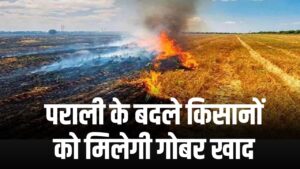 Air Pollution Control Plan: पराली के बदले किसानों को मिलेगी गोबर खाद, सरकार की नई पहल