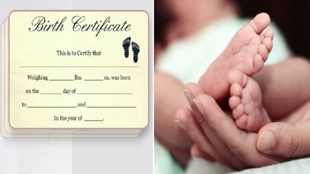 Birth Certificate Scam: '‘पैसे दो और मनचाही तारीख का बर्थ सर्टिफिकेट लो’' इलाहाबाद हाईकोर्ट ने राज्य के सबसे बड़े अफसर को लगाई फटकार