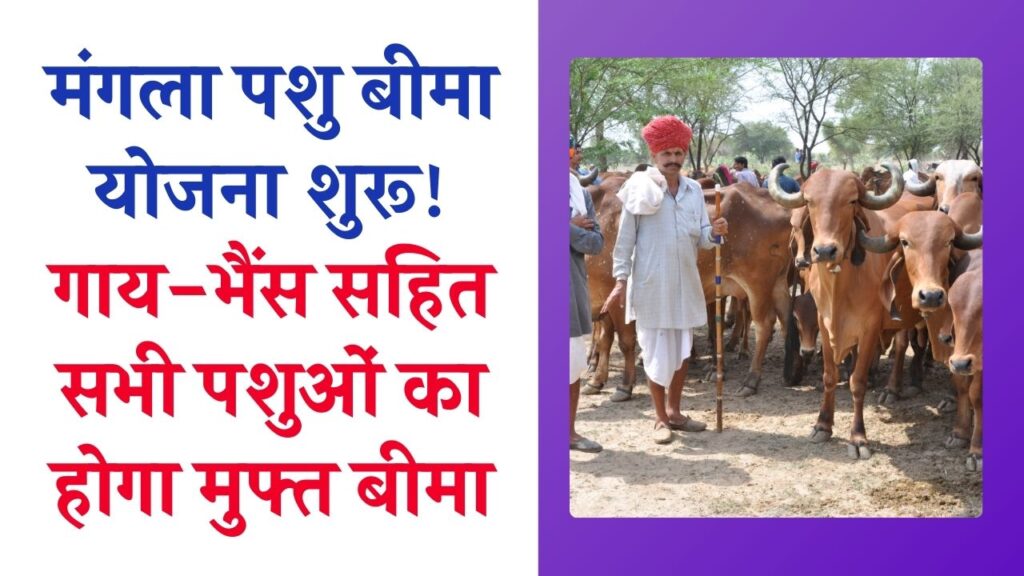 मंगला पशु बीमा योजना शुरू! गाय-भैंस सहित सभी पशुओं का होगा मुफ्त बीमा, आवेदन करें