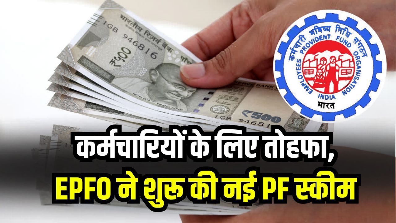 सरकार का बड़ा तोहफा कर्मचारियों के लिए, EPFO ने शुरू की नई PF स्कीम, जानें कौन होगा लाभार्थी