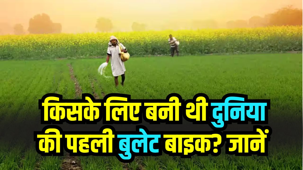 Farming Business Idea: खेती नहीं ‘पैसा छापने वाली मशीन’ है! एक बार समझ गए तो हर साल होगा लाखों का मुनाफा