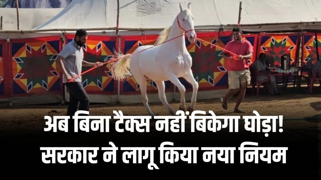 अब बिना टैक्स के नहीं बिकेगा घोड़ा! सरकार ने लागू किया नया नियम, बदल दिया पूरा सिस्टम