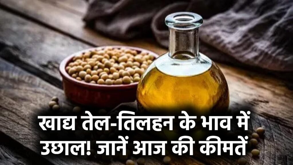 सरसों, मूंगफली, सोयाबीन और पामतेल के बढ़े दाम, खाने वाले तेल-तिलहन का आज का भाव देखें