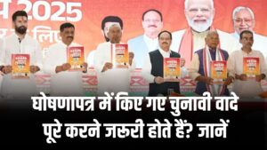 घोषणापत्र में किए वादे पूरे न करने पर सजा होती है क्या? जानें नियम और हकीकत