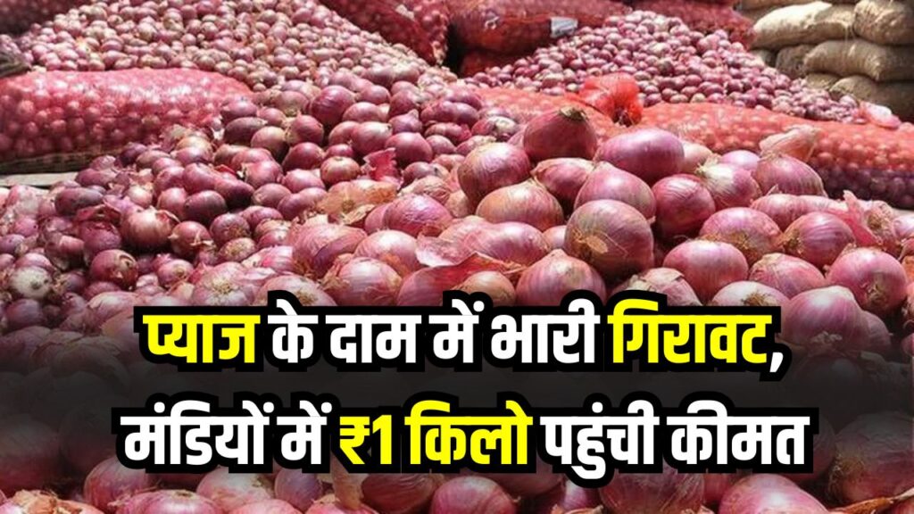 किसानों में हाहाकार! प्याज के दाम में भारी गिरावट, मंडियों में ₹1 किलो पहुंची कीमत, जानें बड़ी वजह