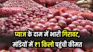 किसानों में हाहाकार! प्याज के दाम में भारी गिरावट, मंडियों में ₹1 किलो पहुंची कीमत, जानें बड़ी वजह