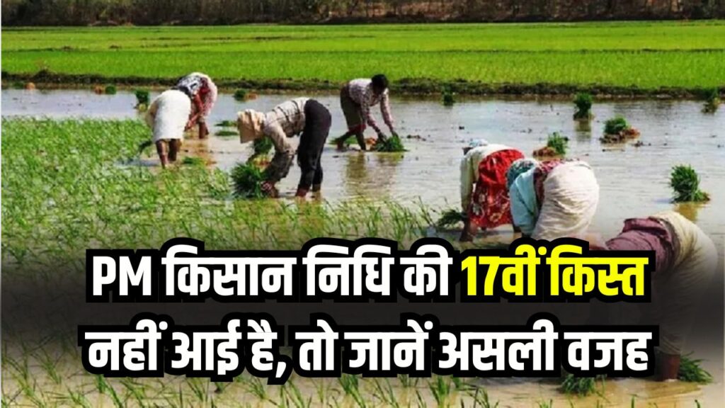 PM Kisan Payment Failed: अगर आपके अकाउंट में नहीं आई किसान निधि, तो जानिए असली वजह और घर बैठे सुधारने का तरीका