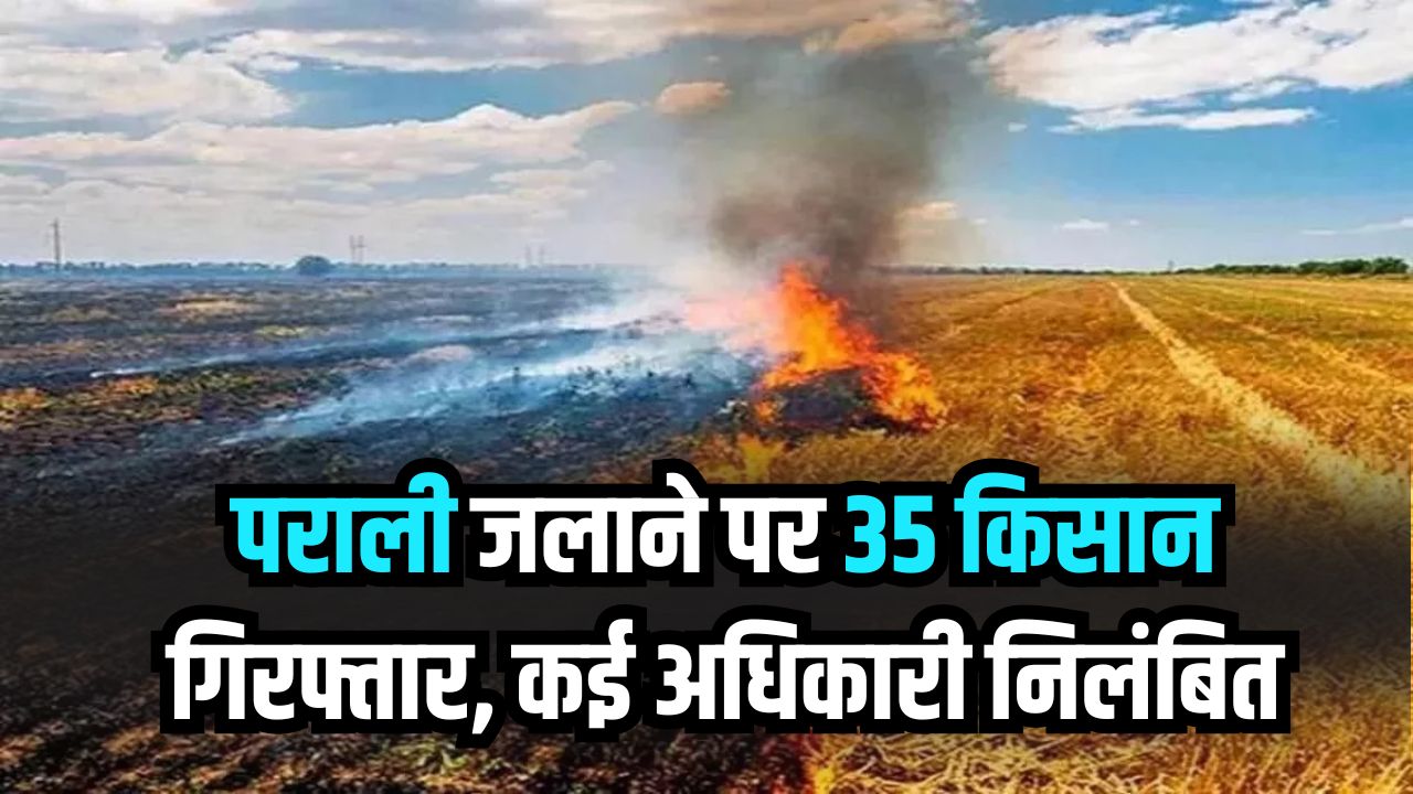 प्रदूषण बढ़ते ही पराली जलाने पर कड़ी कार्रवाई! 35 किसान गिरफ्तार, कई अधिकारी निलंबित