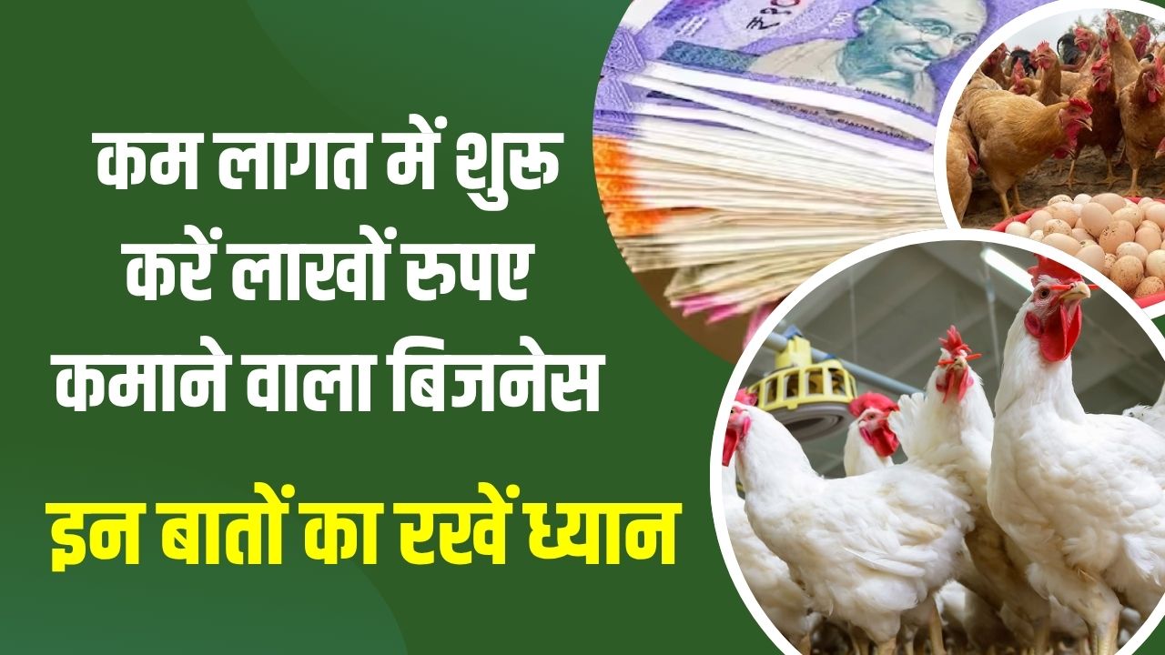 सिर्फ थोड़े पैसों में शुरू करें ये बिजनेस, डिमांड हमेशा हाई, हर महीने होगी लाखों की आमदनी
