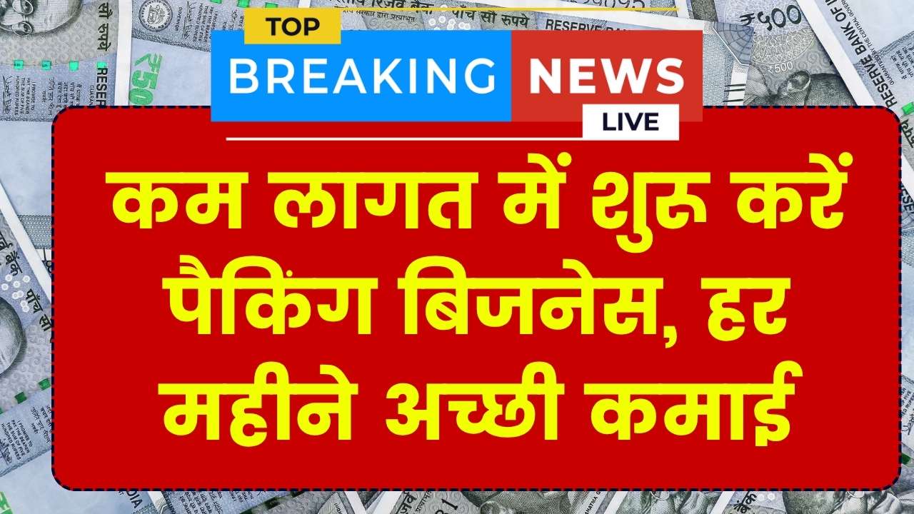 कम लागत में शुरू करें पैकिंग का बिजनेस, हर महीने शानदार कमाई