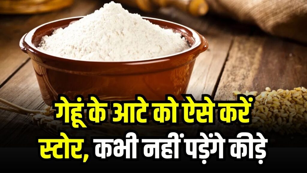 गेहूं का आटा ऐसे करें स्टोर, महीनों तक नहीं पड़ेंगे कीड़े