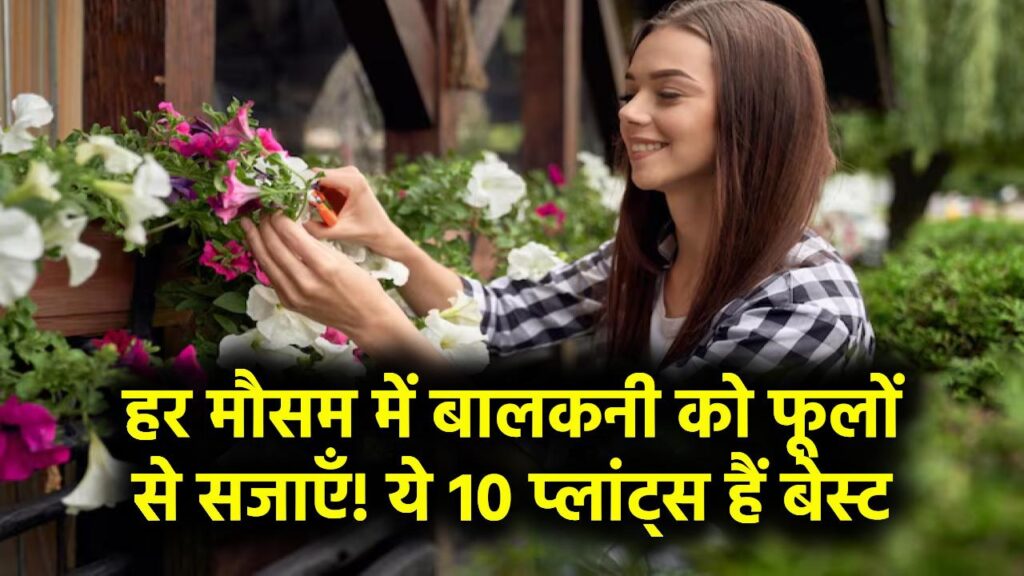 आपकी बालकनी हमेशा रहेगी फूलों से सजी चाहे कोई भी मौसम हो, इन 10 फ्लावरिंग प्लांट्स से करें शुरुआत