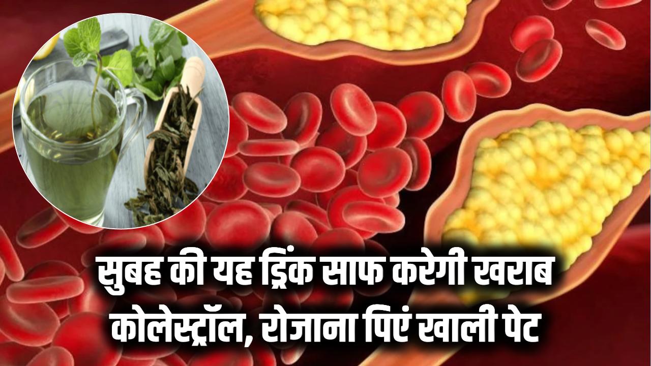 Cholesterol Lowering Drink: गंदे कोलेस्ट्रॉल को नसों से बाहर निकाल फेंकेगी ये चमत्कारी ड्रिंक, सुबह खाली पेट पिएं