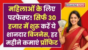 Business Idea: महिलाओं के लिए परफेक्ट! सिर्फ 30 हजार में शुरू करें ये शानदार बिजनेस, हर महीने कमाएं तगड़ा प्रॉफिट
