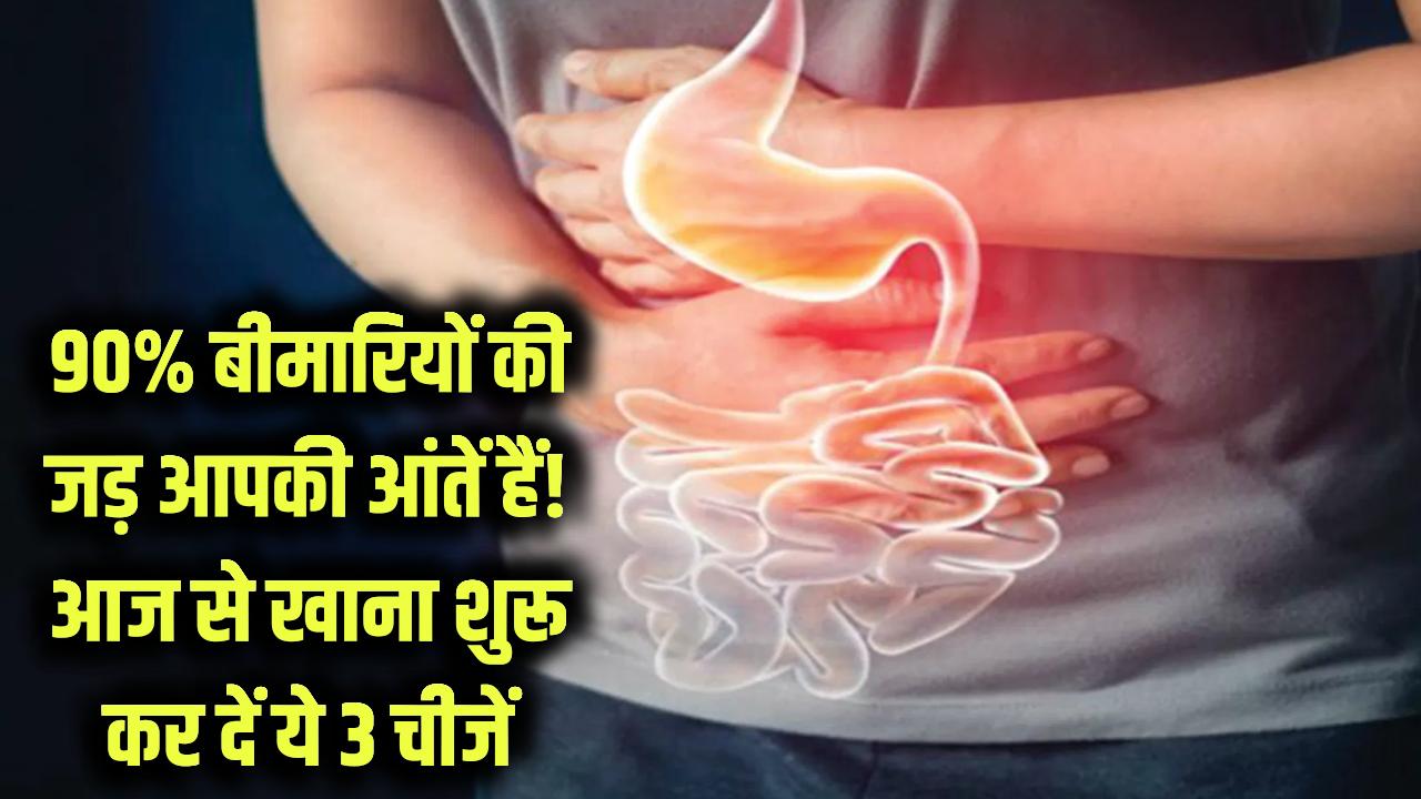 Gut Health Secret: आपकी आंतें ही हैं 90% बीमारियों की जड़! पेट को स्वस्थ रखने के लिए आज से ही खाना शुरू कर दें ये 3 चीजें​