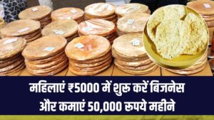 Papad Making Business Idea: महिलाएं घर बैठे सिर्फ ₹5000 में शुरू करें ये सुपरहिट बिजनेस, हर महीने होगी ₹50,000 तक की बंपर कमाई