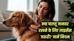 क्या पालतू जानवर रखने के लिए लाइसेंस अनिवार्य हो गया है? जानें नए नियम और जुर्माना