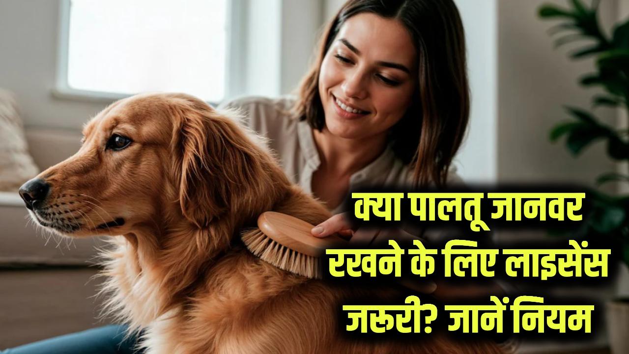 क्या पालतू जानवर रखने के लिए लाइसेंस अनिवार्य हो गया है? जानें नए नियम और जुर्माना