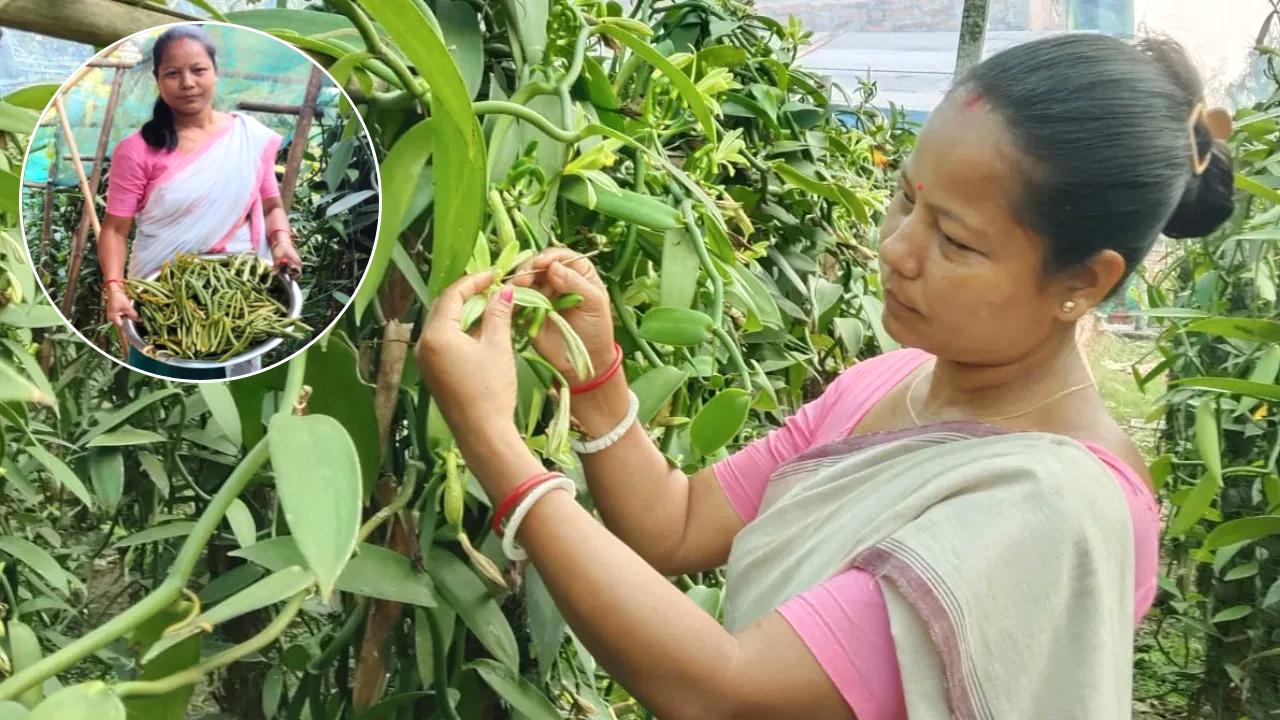 स्कूल टीचर ने खाली टाइल में शुरू किया ये काम, सालाना ₹12 लाख की इनकम! कमाल का फॉर्मूला, आप भी करें शुरू