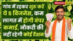 Business Ideas: गांव में रहकर शुरू करें ये 5 बिजनेस, कम लागत में होगी बंपर कमाई, नौकरी की नहीं रहेगी कोई टेंशन