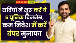 Winter Business Ideas: सर्दियों में शुरू करें ये 5 यूनिक बिजनेस, कम निवेश में करें बंपर मुनाफा