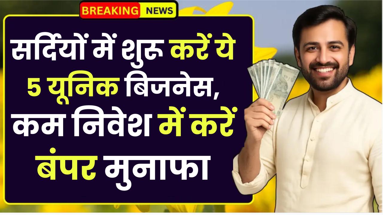 Winter Business Ideas: सर्दियों में शुरू करें ये 5 यूनिक बिजनेस, कम निवेश में करें बंपर मुनाफा