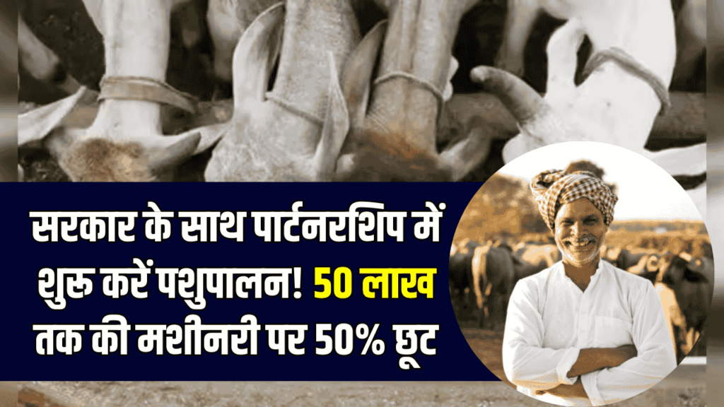 Business Plan: सरकार के साथ पार्टनरशिप में शुरू करें पशुपालन! 50 लाख तक की मशीनरी पर 50% छूट, देखें पूरी स्कीम