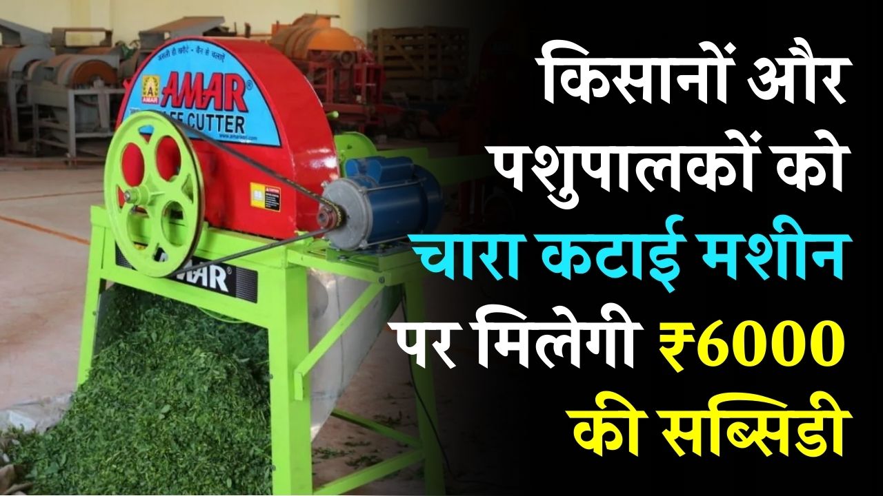 Chara Katai Machine Subsidy: किसानों और पशुपालकों को चारा कटाई मशीन पर ₹6000 तक की सब्सिडी