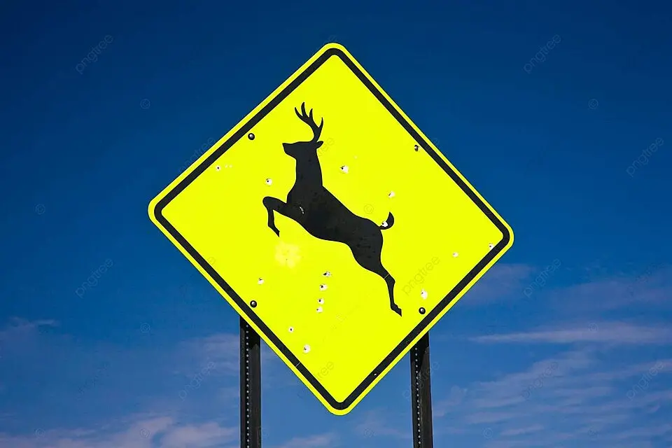 DEER CROSSING